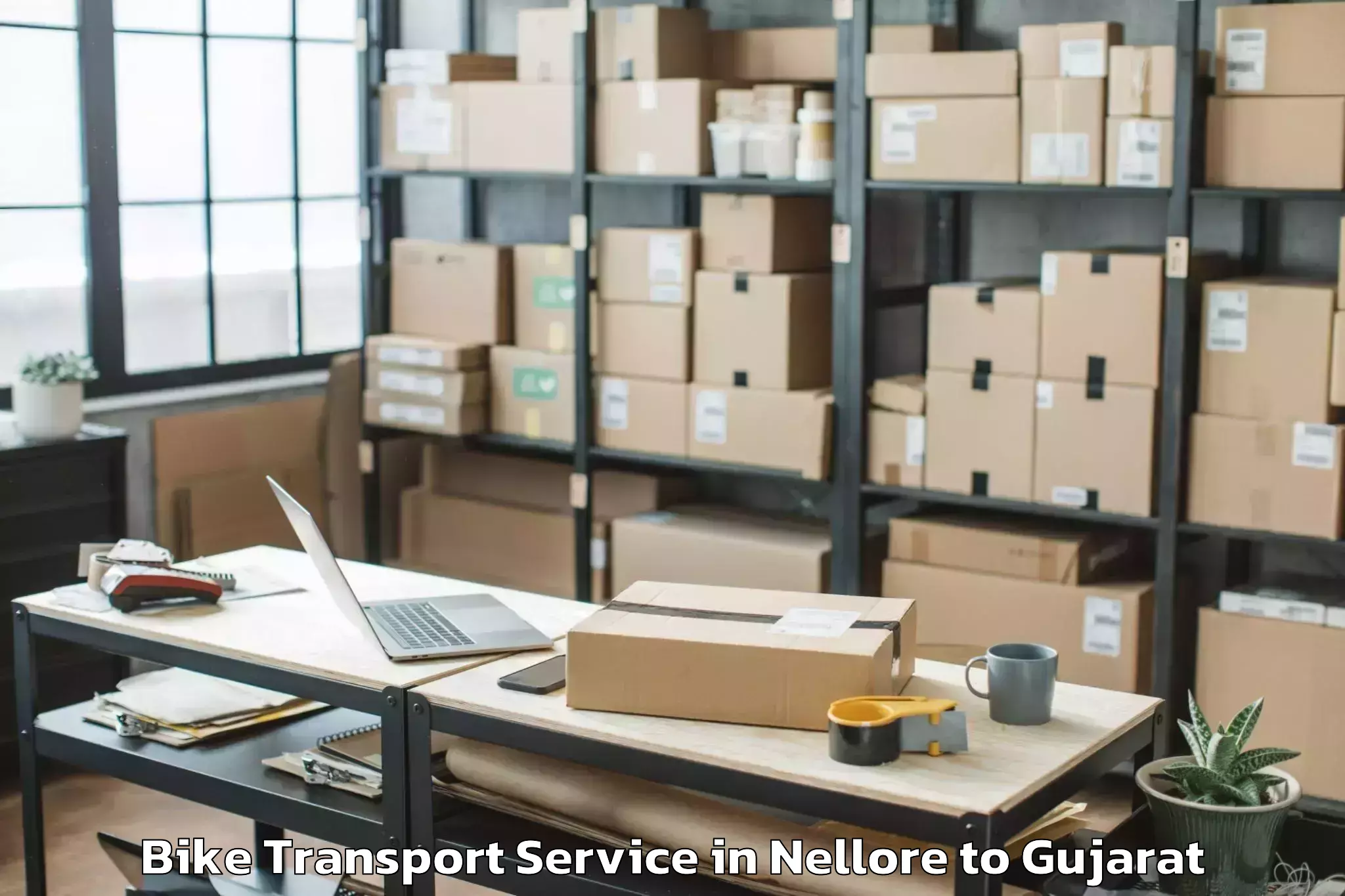 Top Nellore to Rajkot Airport Raj Bike Transport Available